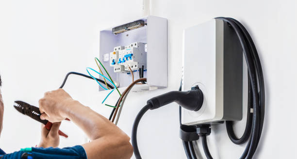Best Electric Panel Repair  in Holmen, WI